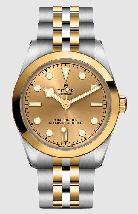 Tudor Black Bay 31 S&G 79603-0005 Replica Watch